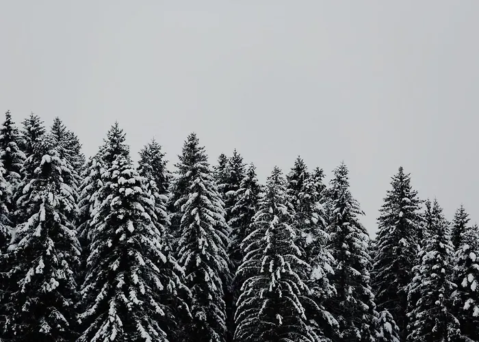 Loua * Dommartin-lès-Remiremont